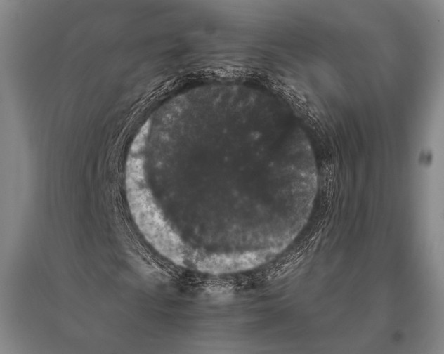 X0000094821009200712141640