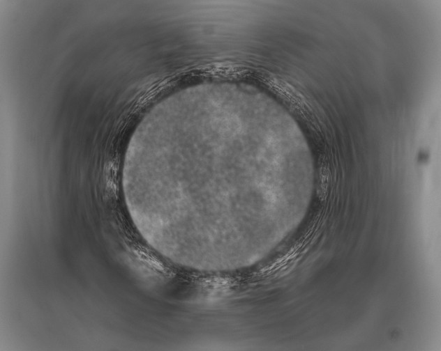 X0000094821010200712141640