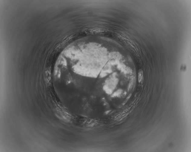 X0000094821011200712141640