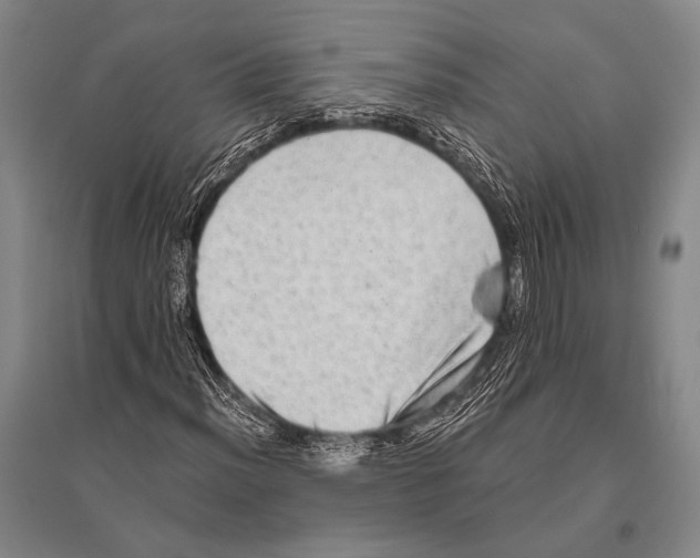 X0000094821012200712141640