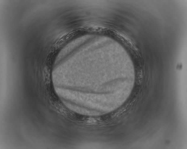 X0000094821013200712141640