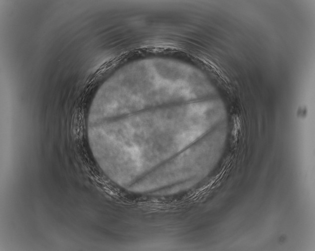 X0000094821014200712141640