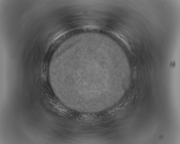 X0000094821015200712141640