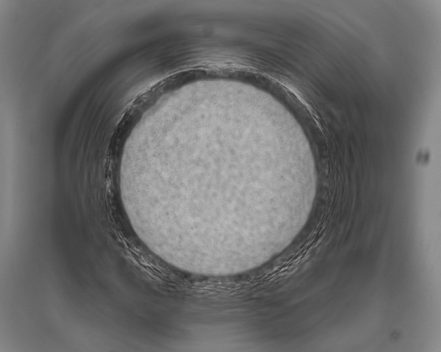 X0000094821016200712141640