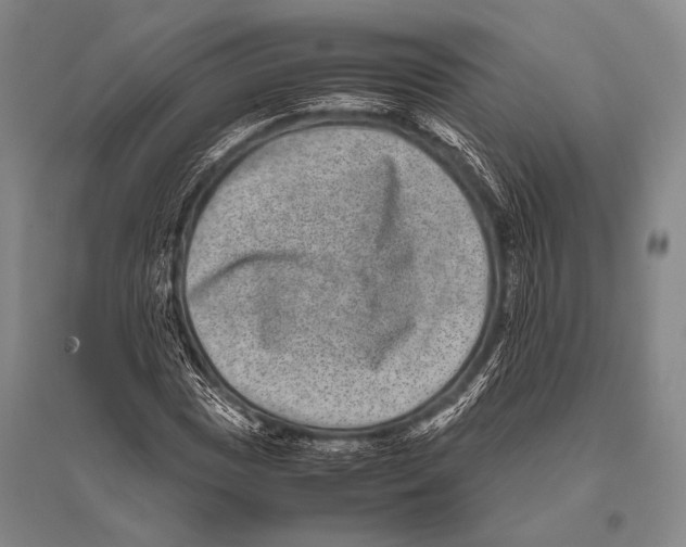 X0000094821017200712141640