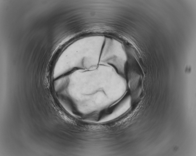 X0000094821018200712141640