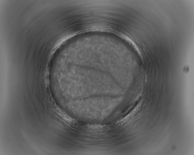 X0000094821019200712141640