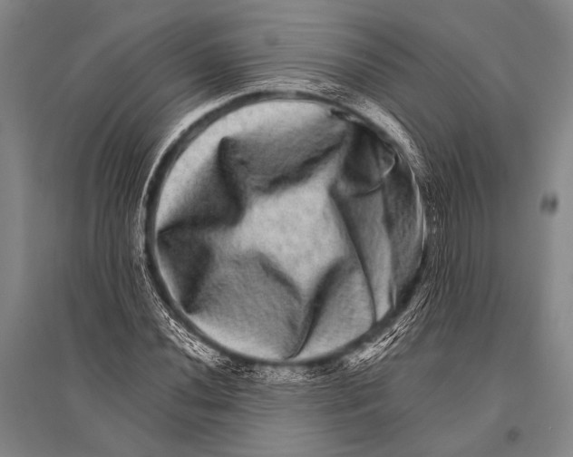 X0000094821020200712141640