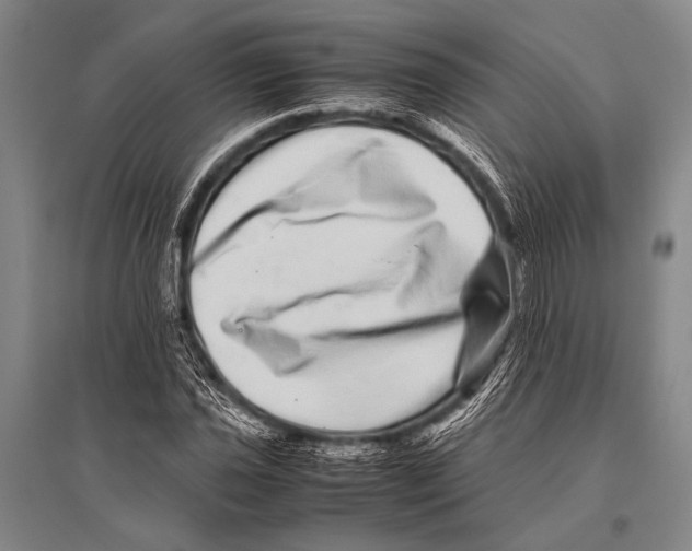 X0000094821021200712141640