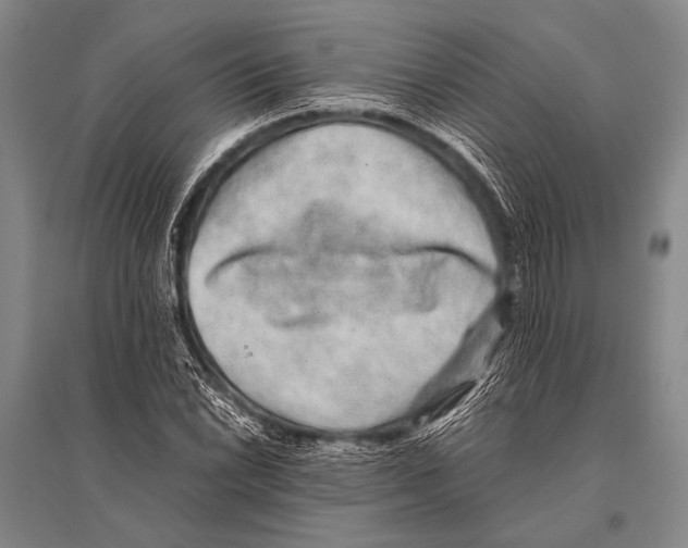 X0000094821022200712141640