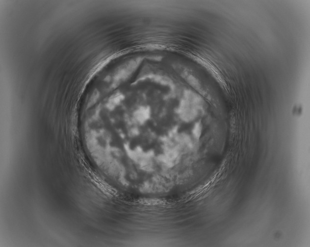 X0000094821023200712141640