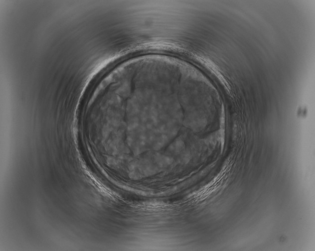 X0000094821024200712141640