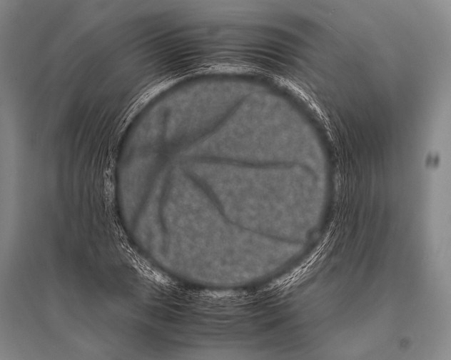 X0000094821025200712141640