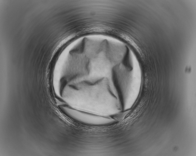 X0000094821026200712141640