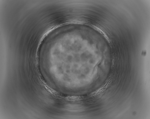 X0000094821027200712141640