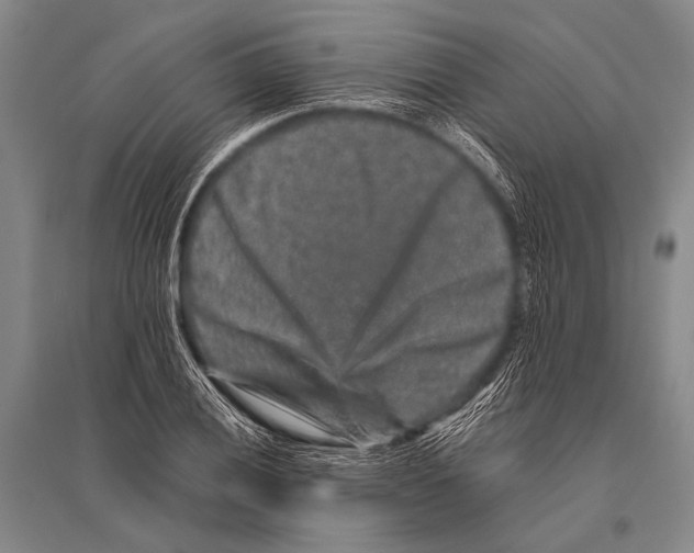 X0000094821028200712141640