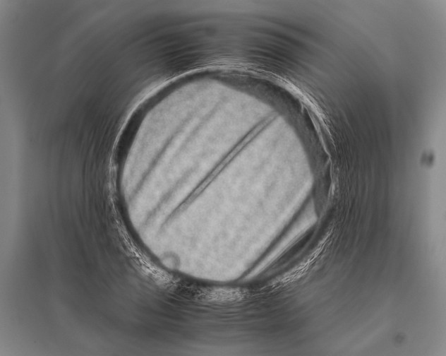 X0000094821029200712141640