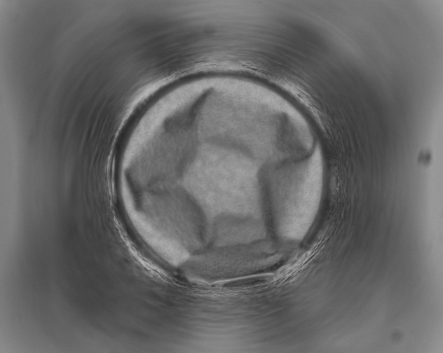 X0000094821030200712141640