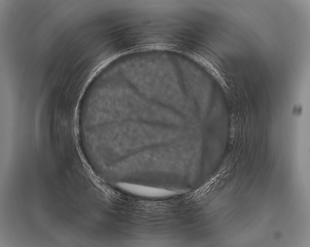 X0000094821031200712141640