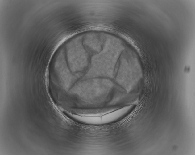 X0000094821032200712141640