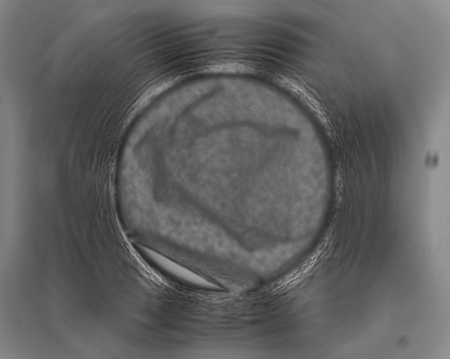 X0000094821033200712141640