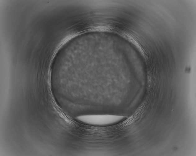 X0000094821035200712141640