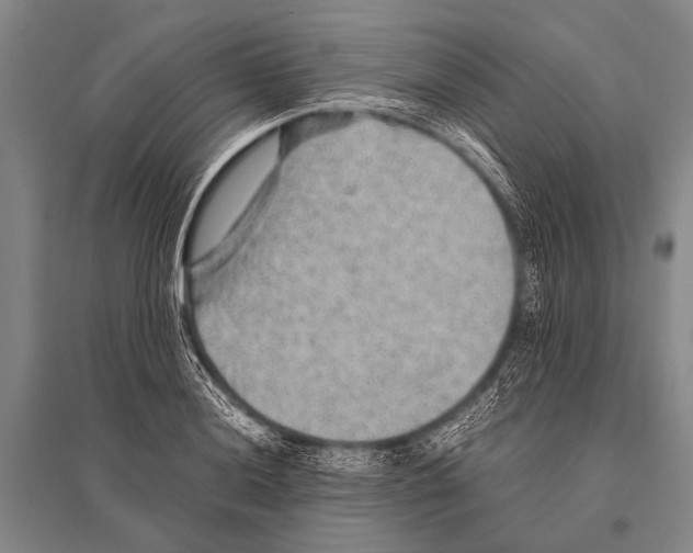 X0000094821036200712141640