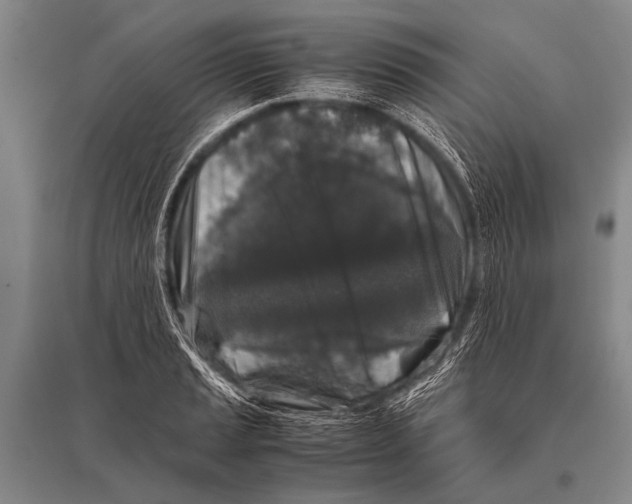 X0000094821037200712141640