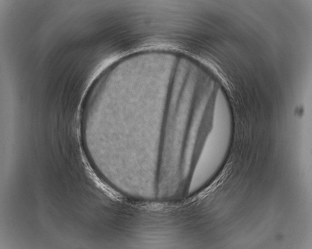 X0000094821038200712141640