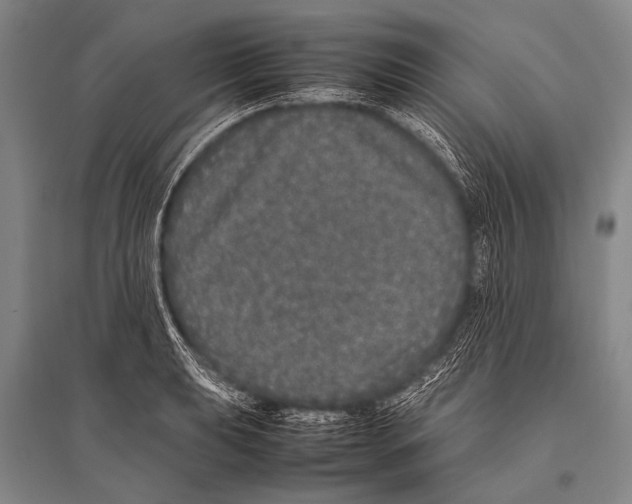 X0000094821039200712141640