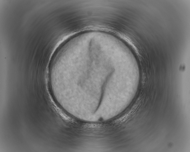 X0000094821040200712141640