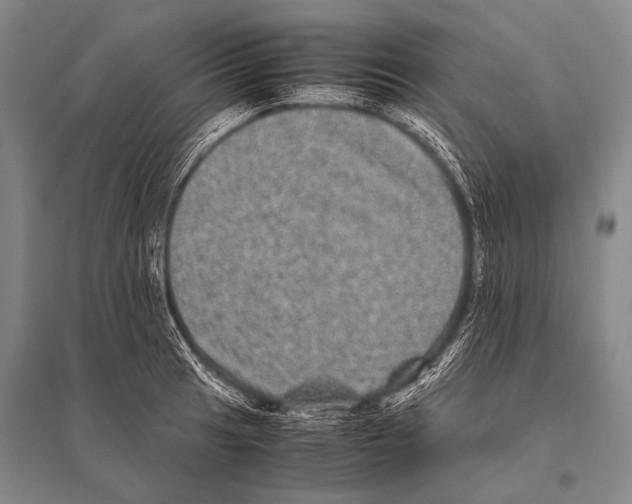 X0000094821041200712141640