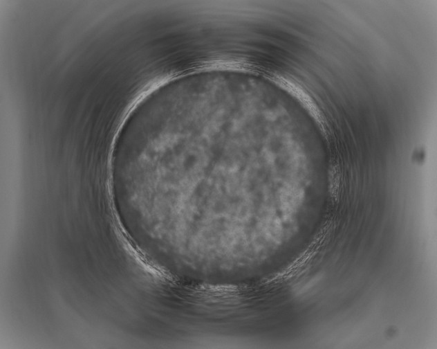 X0000094821043200712141640