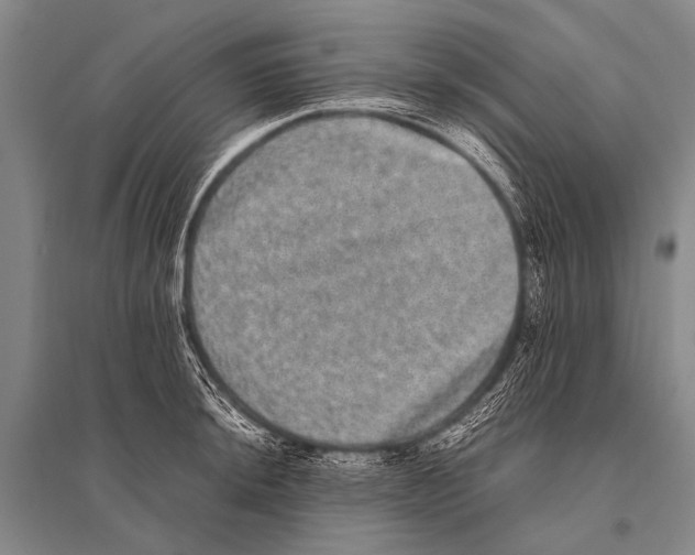 X0000094821044200712141640