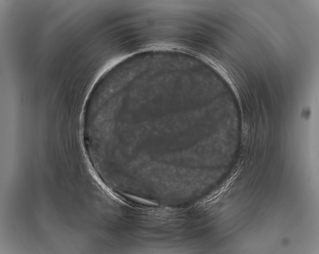 X0000094821045200712141640