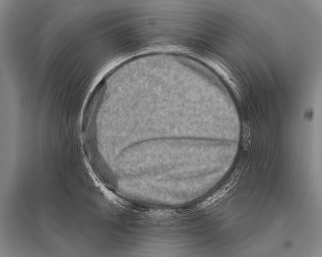 X0000094821046200712141640