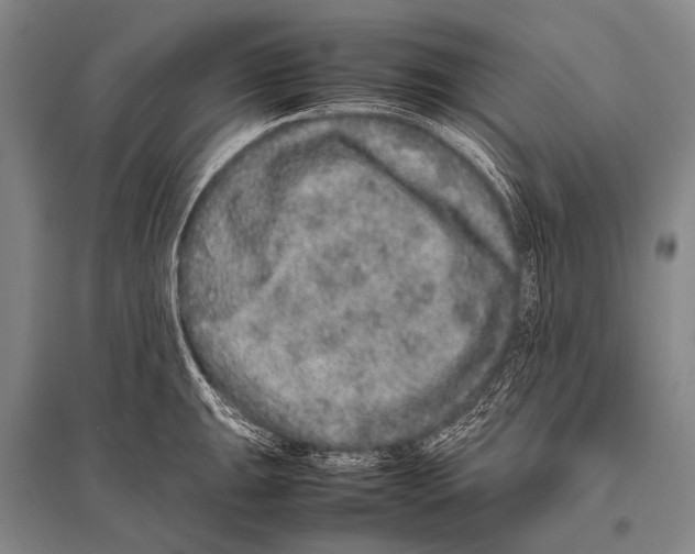 X0000094821047200712141640