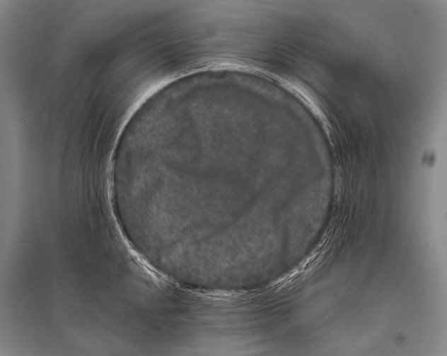 X0000094821048200712141640