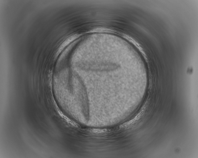 X0000094821049200712141640