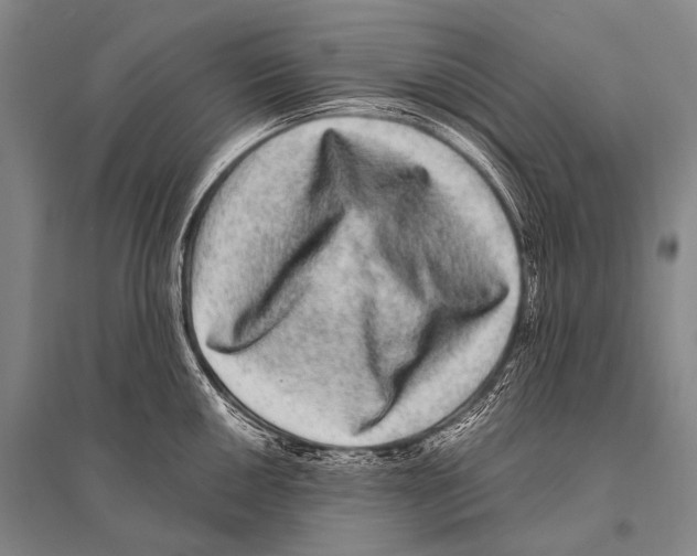 X0000094821050200712141640