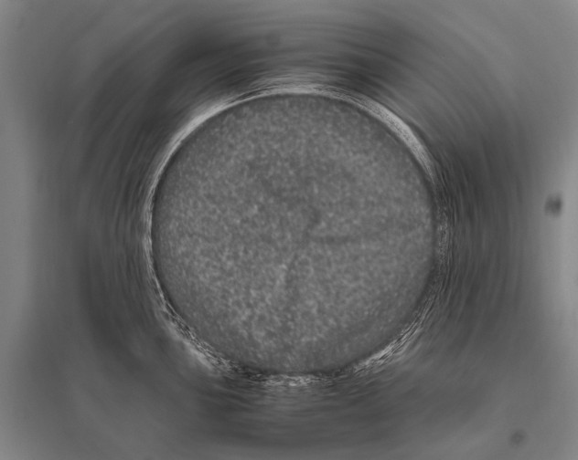 X0000094821051200712141640