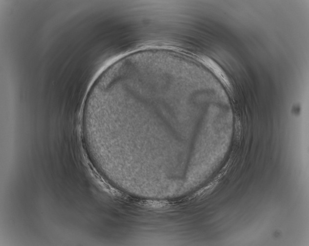 X0000094821052200712141640