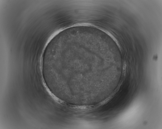 X0000094821054200712141640