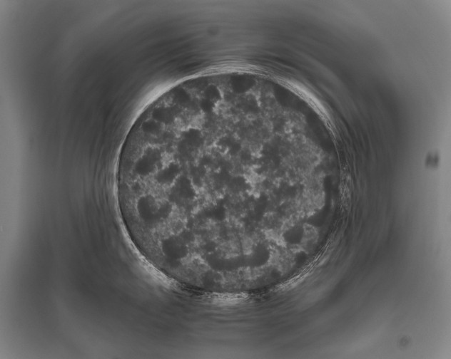 X0000094821055200712141640