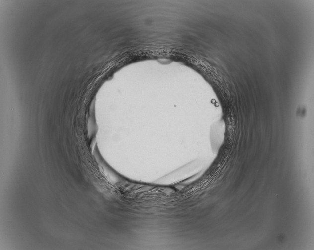 X0000094821057200712141640