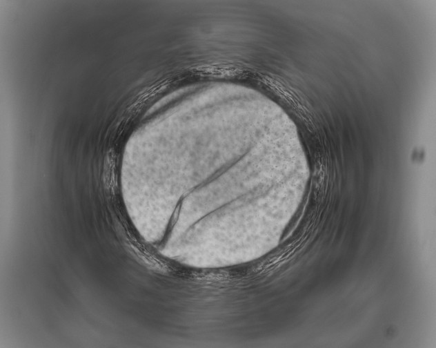 X0000094821058200712141640