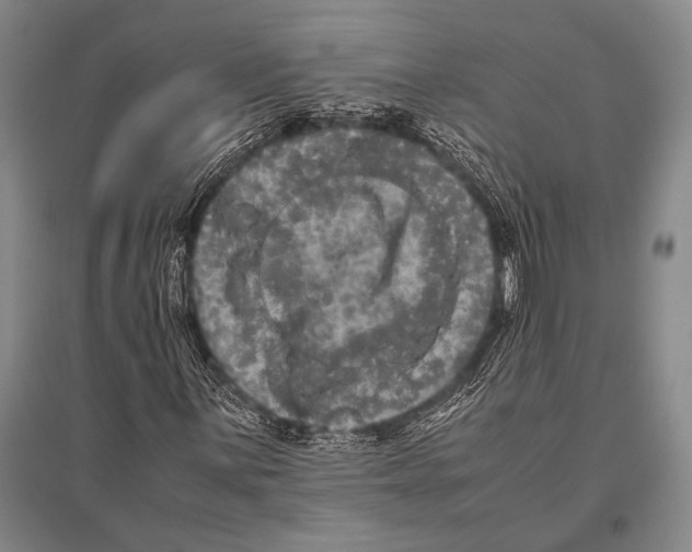 X0000094821059200712141640