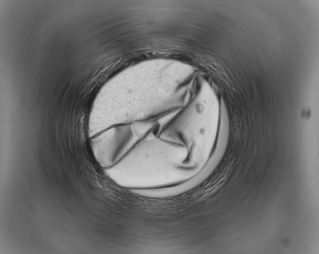 X0000094821060200712141640