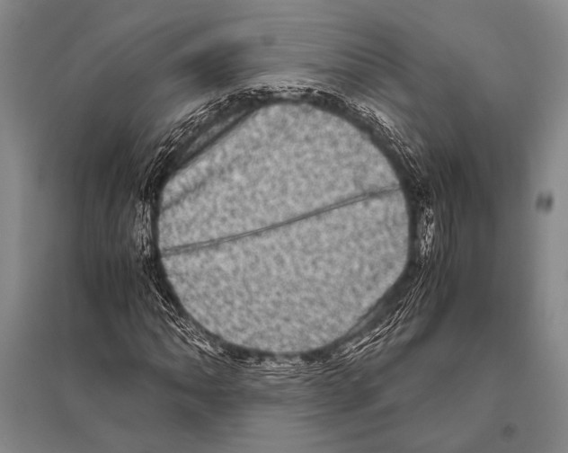 X0000094821062200712141640