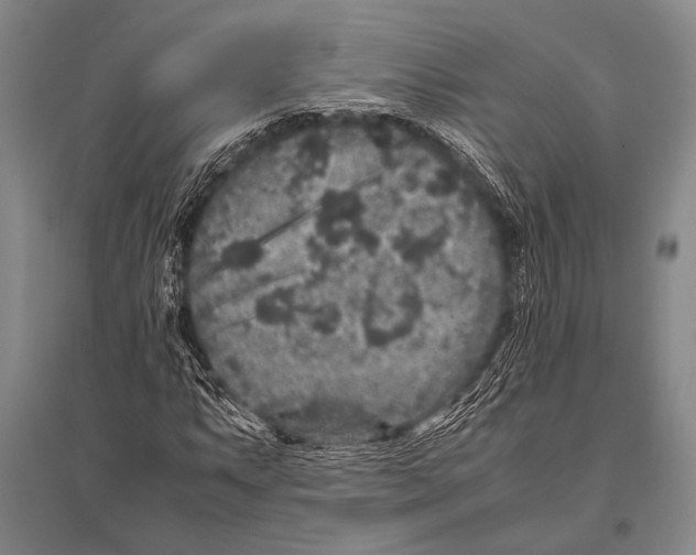 X0000094821063200712141640